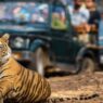 Top National Parks to Explore in Monsoon: 8 Wildlife Spots That Remain Accessible During Rainy Season