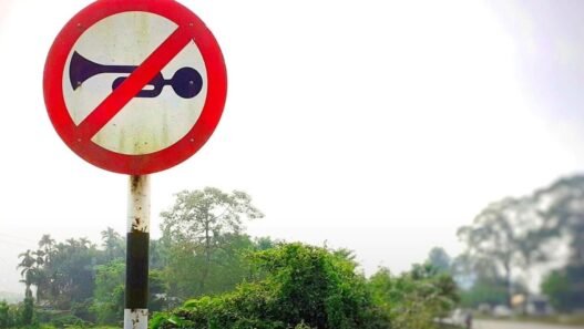 Nainital's Mall Road Designated as No Honking Zone: Information on Route, Fines, and More