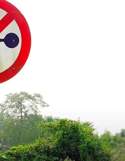 Nainital's Mall Road Designated as No Honking Zone: Information on Route, Fines, and More