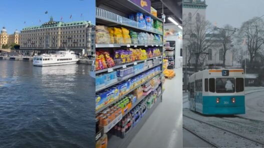 What is the cost of living in Sweden? An Indian woman's monthly budget analysis.