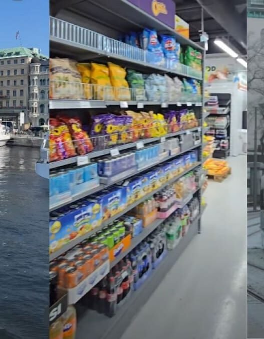 What is the cost of living in Sweden? An Indian woman's monthly budget analysis.
