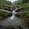 When it rains in Delhi NCR, explore these Aravalli trails just 40 km away.